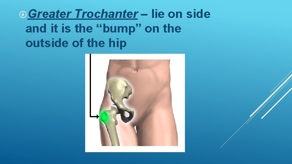 Greater Trochanter – lie on side and it is the “bump” on the Greater Trochanter – lie on side and it is the “bump” on the