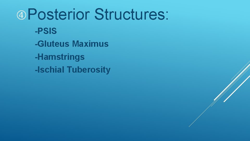 Posterior Structures: -PSIS -Gluteus Maximus -Hamstrings -Ischial Tuberosity Posterior Structures: -PSIS -Gluteus Maximus -Hamstrings -Ischial Tuberosity
