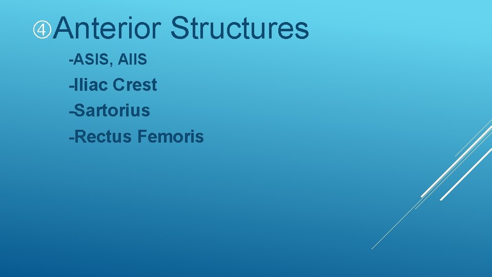 Anterior Structures -ASIS, AIIS -Iliac Crest -Sartorius -Rectus Femoris Anterior Structures -ASIS, AIIS -Iliac Crest -Sartorius -Rectus Femoris