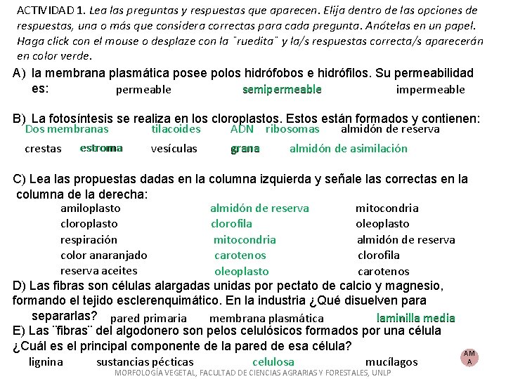 ACTIVIDAD 1. Lea las preguntas y respuestas que aparecen. Elija dentro de las opciones