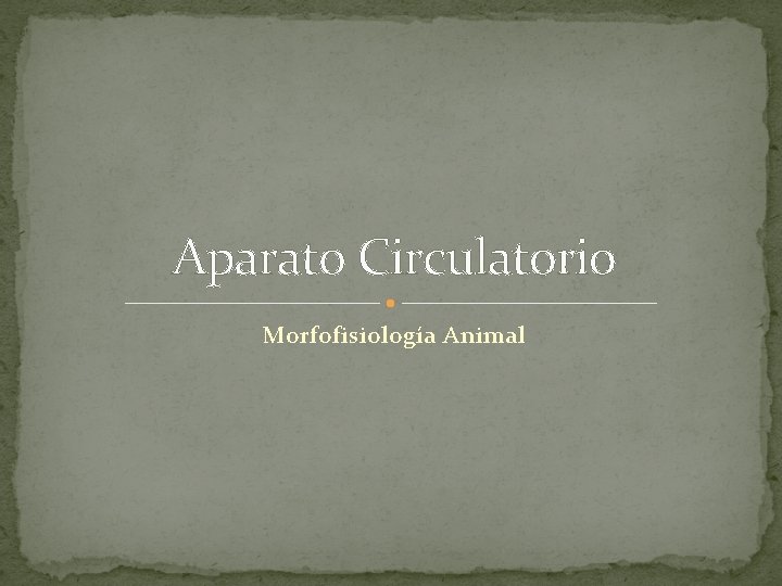Aparato Circulatorio Morfofisiología Animal 