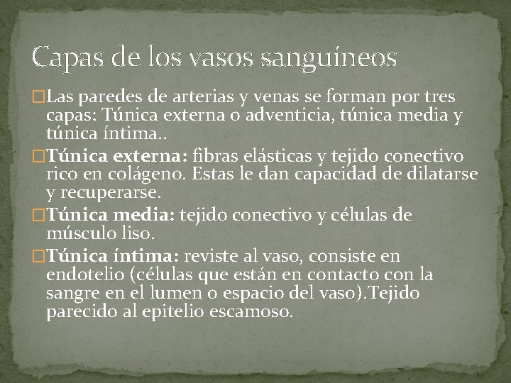 Capas de los vasos sanguíneos �Las paredes de arterias y venas se forman por