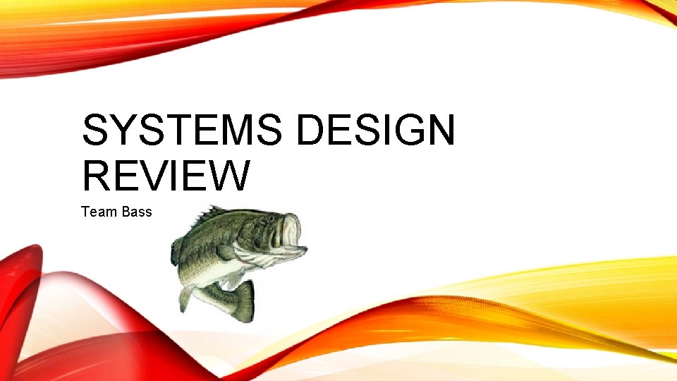 SYSTEMS DESIGN REVIEW Team Bass 