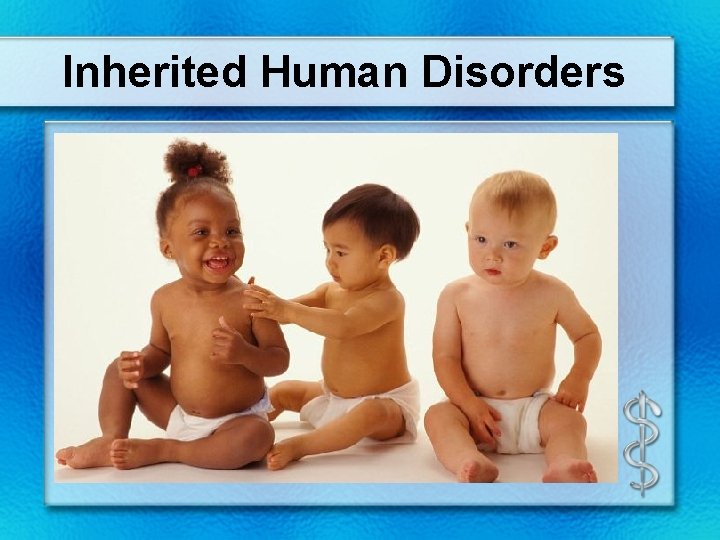 Inherited Human Disorders 