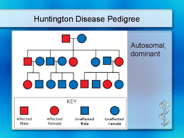 Huntington Disease Pedigree Autosomal, dominant 