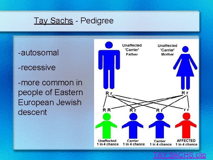 Tay Sachs - Pedigree -autosomal -recessive -more common in people of Eastern European Jewish