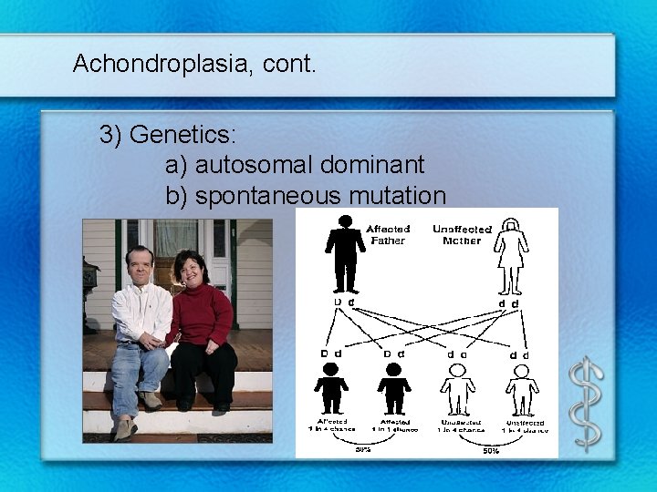 Achondroplasia, cont. 3) Genetics: a) autosomal dominant b) spontaneous mutation 