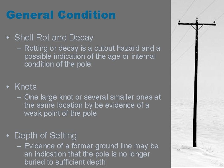 Pole Rot Pole Safety Inspecting Wood Poles Pole Safety Too