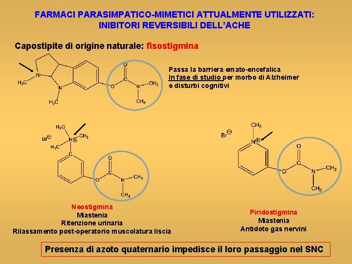 FARMACI PARASIMPATICO-MIMETICI ATTUALMENTE UTILIZZATI: INIBITORI REVERSIBILI DELL’ACHE Capostipite di origine naturale: fisostigmina Passa la