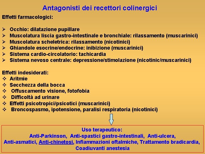Antagonisti dei recettori colinergici Effetti farmacologici: Ø Ø Ø Occhio: dilatazione pupillare Muscolatura liscia