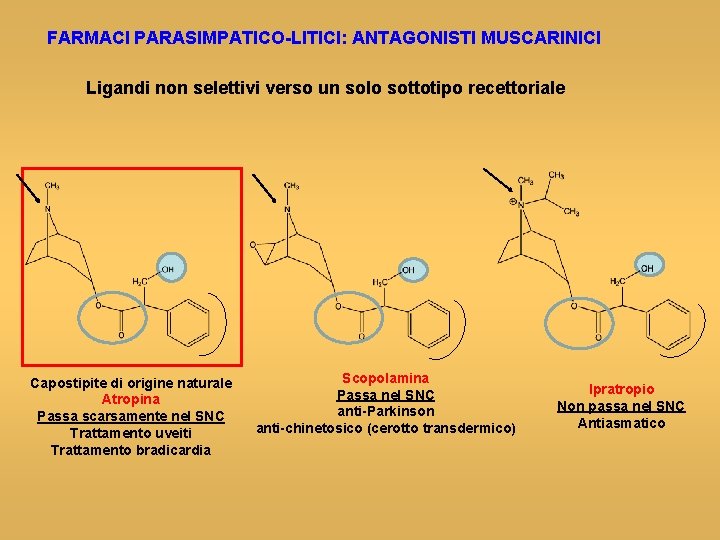 FARMACI PARASIMPATICO-LITICI: ANTAGONISTI MUSCARINICI Ligandi non selettivi verso un solo sottotipo recettoriale Capostipite di