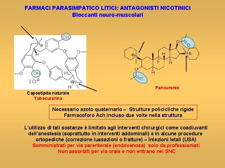 FARMACI PARASIMPATICO LITICI: ANTAGONISTI NICOTINICI Bloccanti neuro-muscolari Pancuronio Capostipite naturale Tubocurarina Necessario azoto quaternario