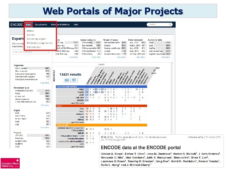 Web Portals of Major Projects 