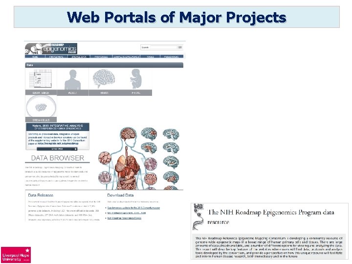 Web Portals of Major Projects 