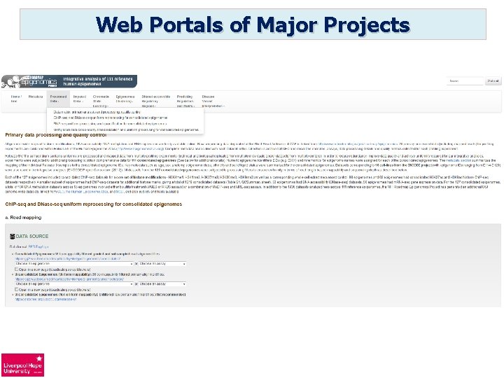 Web Portals of Major Projects 