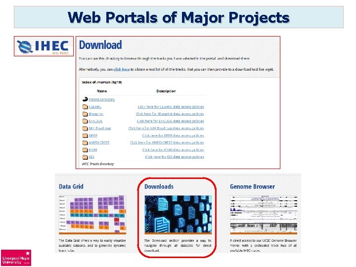 Web Portals of Major Projects 