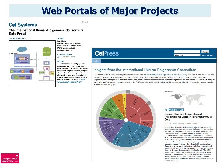 Web Portals of Major Projects 