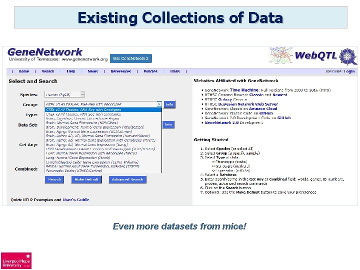 Existing Collections of Data Even more datasets from mice! 
