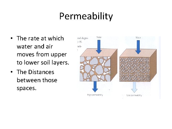 Permeability • The rate at which water and air moves from upper to lower
