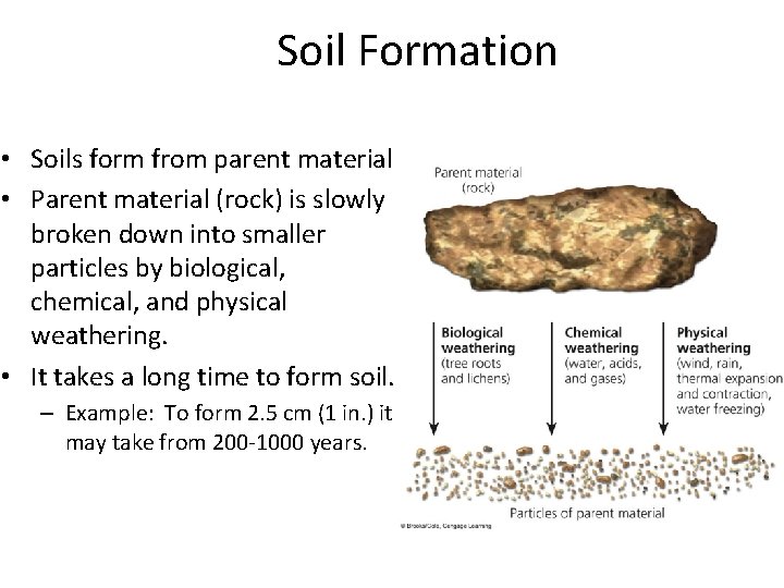 Soil Formation • Soils form from parent material • Parent material (rock) is slowly