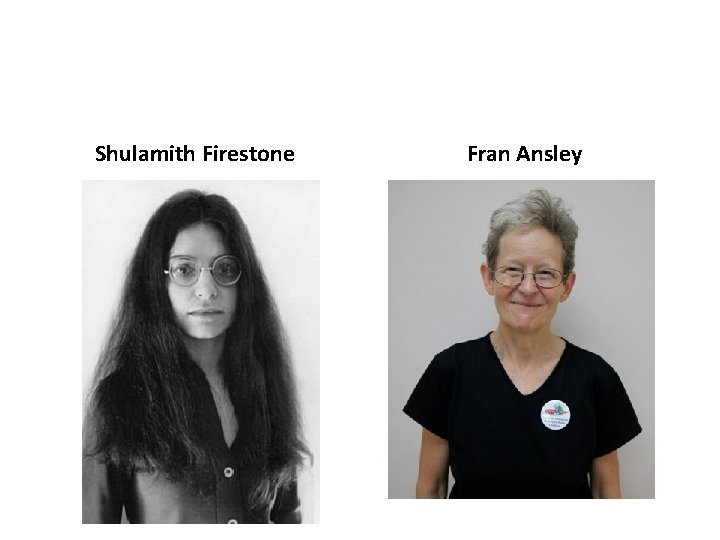 Shulamith Firestone Fran Ansley 