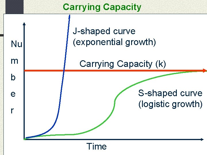 Carrying Capacity Nu m J-shaped curve (exponential growth) Carrying Capacity (k) b S-shaped curve