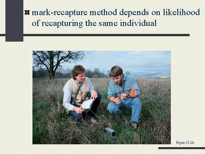 mark-recapture method depends on likelihood of recapturing the same individual Figure 35. 2 A