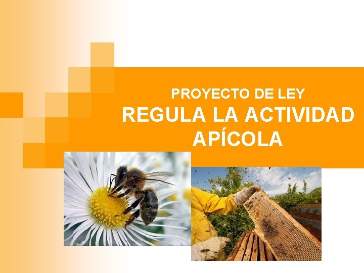 PROYECTO DE LEY REGULA LA ACTIVIDAD APÍCOLA 