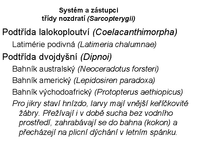 Systém a zástupci třídy nozdratí (Sarcopterygii) Podtřída lalokoploutví (Coelacanthimorpha) Latimérie podivná (Latimeria chalumnae) Podtřída