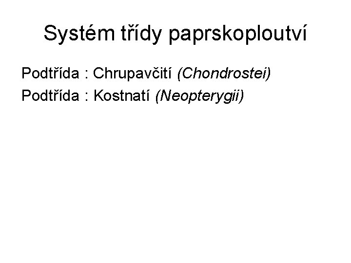 Systém třídy paprskoploutví Podtřída : Chrupavčití (Chondrostei) Podtřída : Kostnatí (Neopterygii) 