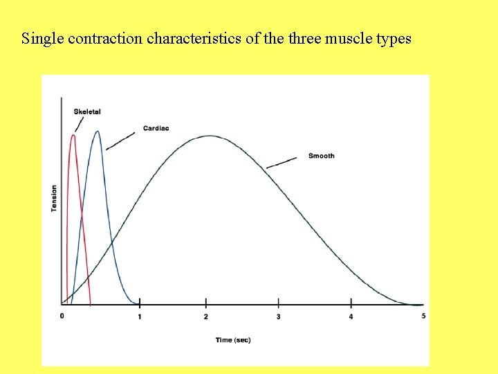 Single contraction characteristics of the three muscle types 