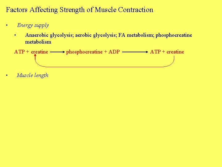 Factors Affecting Strength of Muscle Contraction • Energy supply • Anaerobic glycolysis; FA metabolism;