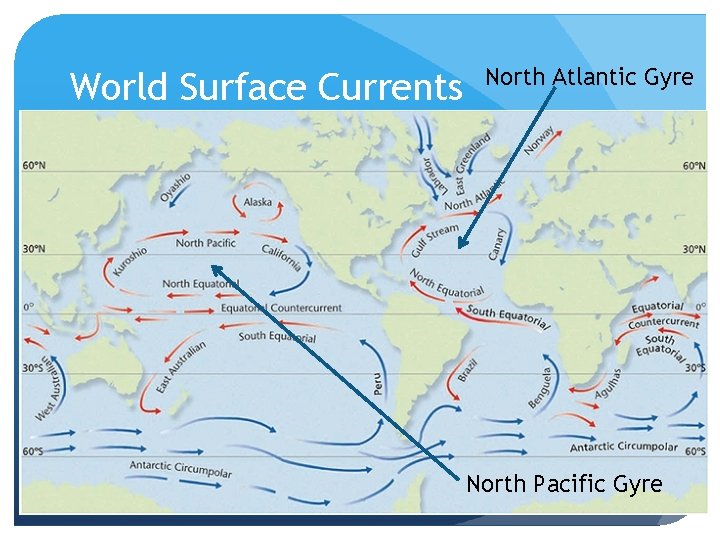 World Surface Currents North Atlantic Gyre North Pacific Gyre 