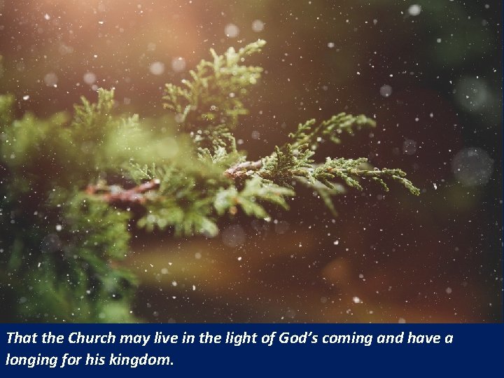 That the Church may live in the light of God’s coming and have a