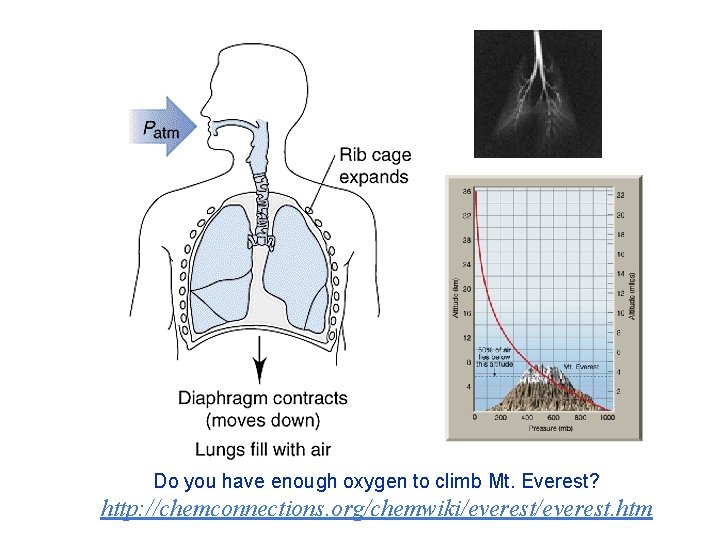 Do you have enough oxygen to climb Mt. Everest? http: //chemconnections. org/chemwiki/everest. htm 