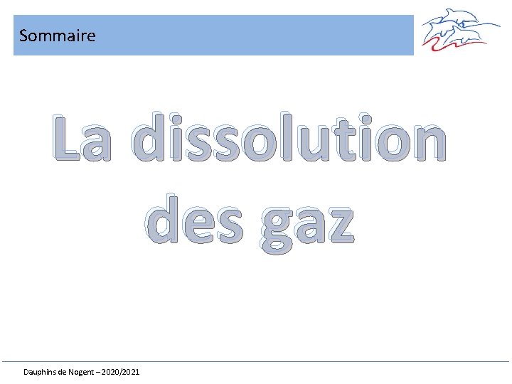 Sommaire La dissolution des gaz Dauphins de Nogent – 2020/2021 