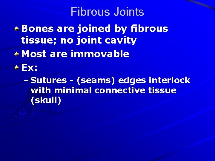 Fibrous Joints Bones are joined by fibrous tissue; no joint cavity Most are immovable