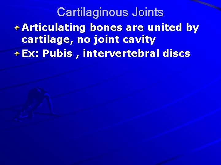 Cartilaginous Joints Articulating bones are united by cartilage, no joint cavity Ex: Pubis ,