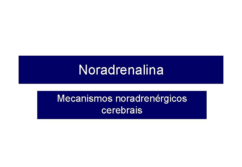 Noradrenalina Mecanismos noradrenérgicos cerebrais 