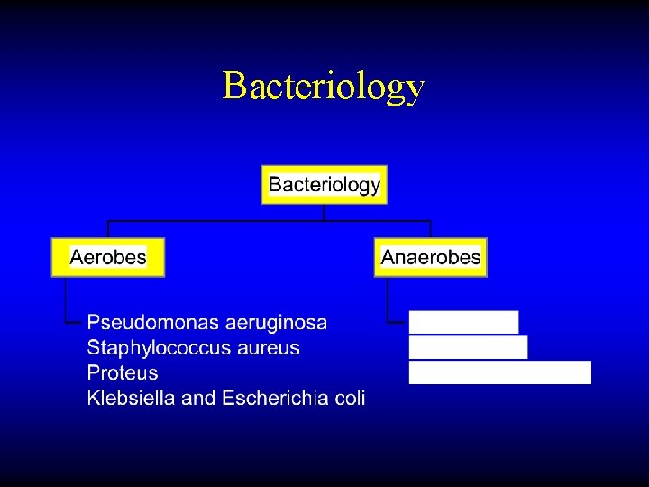 Bacteriology 