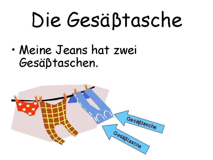 Die Gesäβtasche • Meine Jeans hat zwei Gesäβtaschen. Ges äβ Ge sä β tas