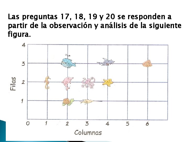 Las preguntas 17, 18, 19 y 20 se responden a partir de la observación