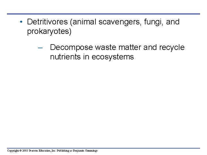  • Detritivores (animal scavengers, fungi, and prokaryotes) – Decompose waste matter and recycle