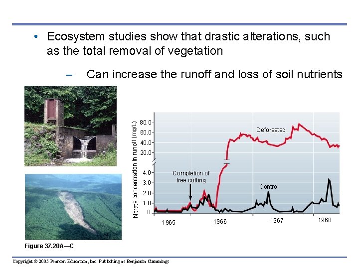  • Ecosystem studies show that drastic alterations, such as the total removal of