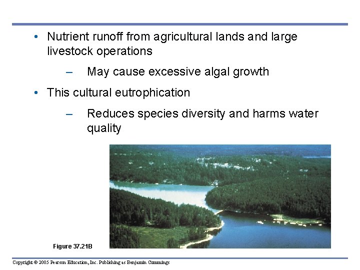  • Nutrient runoff from agricultural lands and large livestock operations – May cause