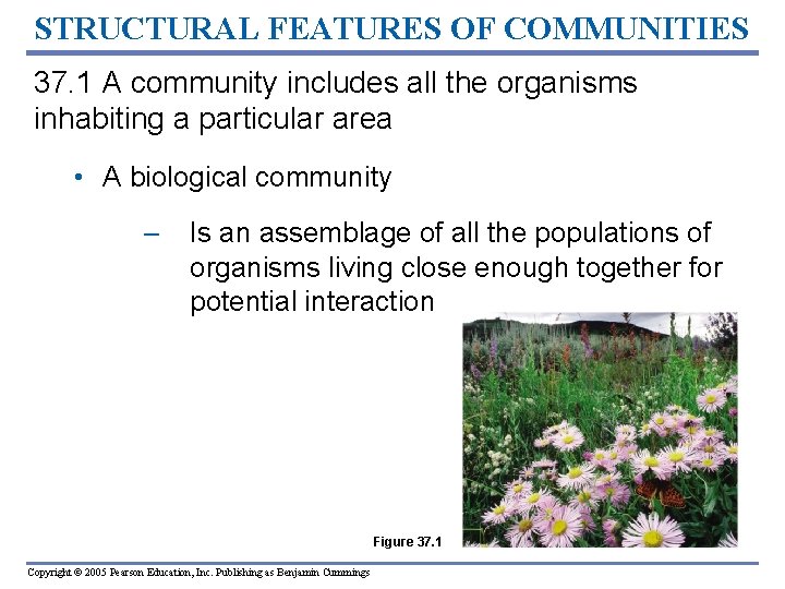 STRUCTURAL FEATURES OF COMMUNITIES 37. 1 A community includes all the organisms inhabiting a