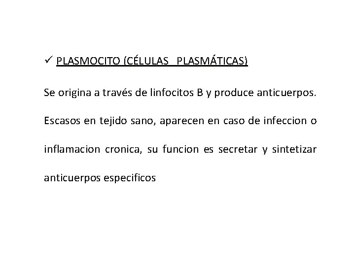 ü PLASMOCITO (CÉLULAS PLASMÁTICAS) Se origina a través de linfocitos B y produce anticuerpos.