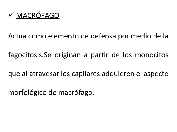 ü MACRÓFAGO Actua como elemento de defensa por medio de la fagocitosis. Se originan