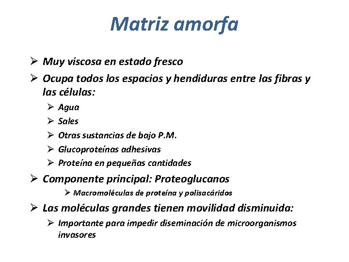 Matriz amorfa Ø Muy viscosa en estado fresco Ø Ocupa todos los espacios y