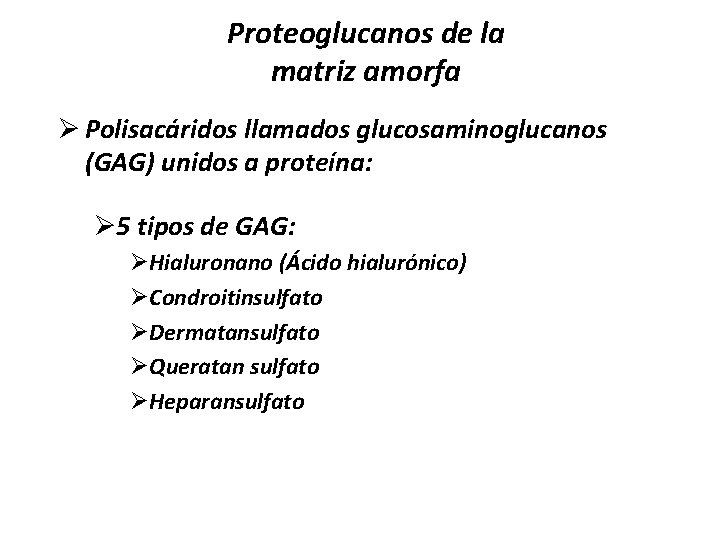 Proteoglucanos de la matriz amorfa Ø Polisacáridos llamados glucosaminoglucanos (GAG) unidos a proteína: Ø